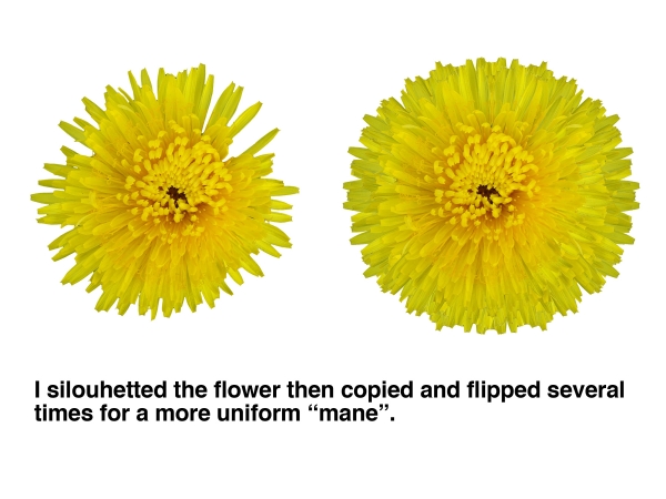 Creation of Dandelion: Step 2